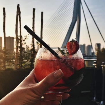 rotterdam-terrace-second