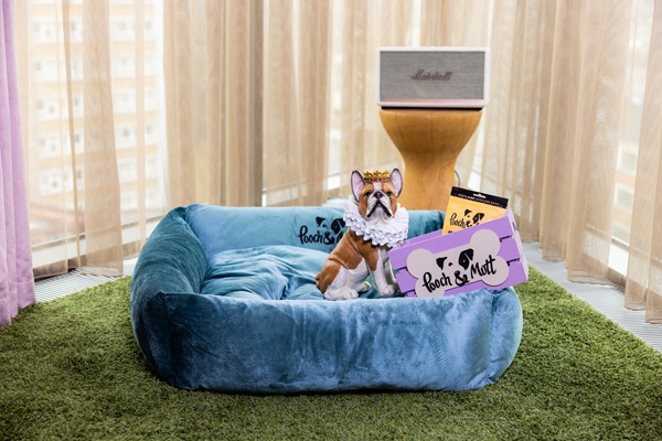 nhow_London_hotel_facilities_dog_bed_and_food_in_room